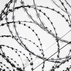 Guanti Antitaglio Per Filo Spinato - Rostaing RIPDEXG