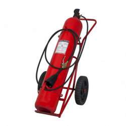 Estintore Carrellato Co2 50 kg