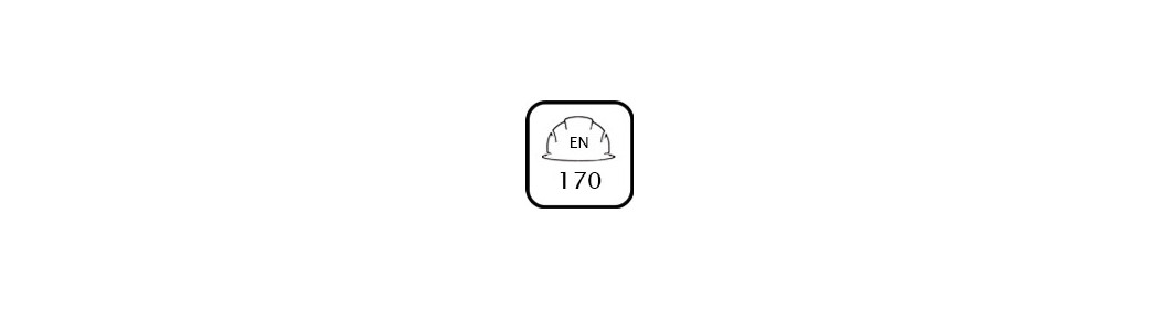 Elmetti EN 170