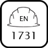 Elmetti EN 1731